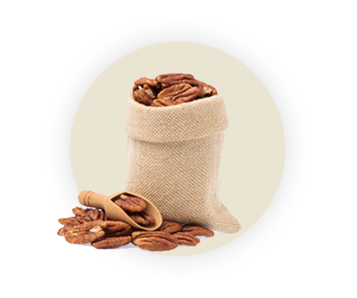 Nuez Pecana